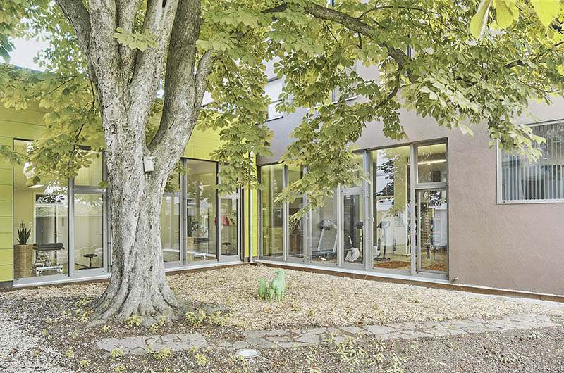 Neubau Praxisgebäude Wohngebäude, Innenhof mit altem Baum